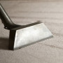 CARPET CLEANING